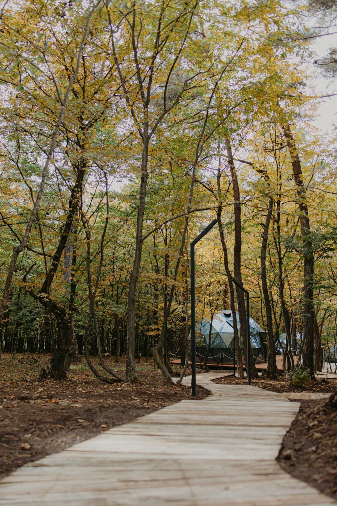 Dream Park Otel Gyulagarak Dış mekan fotoğraf